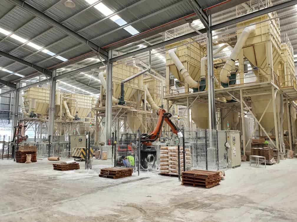 Bag Pick and Place System